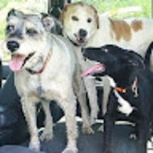 Meet your Posher, Richard